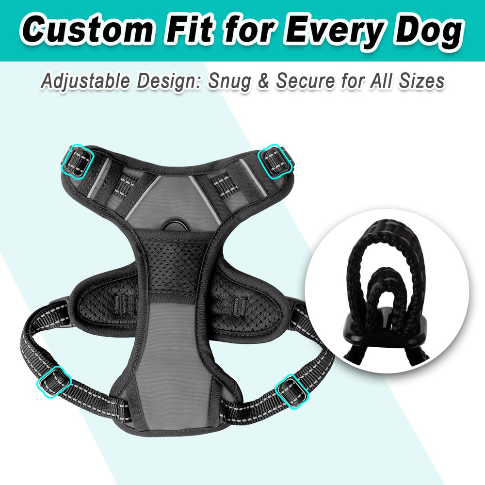 BARKBAY heavy-duty build stands up to outdoor adventures