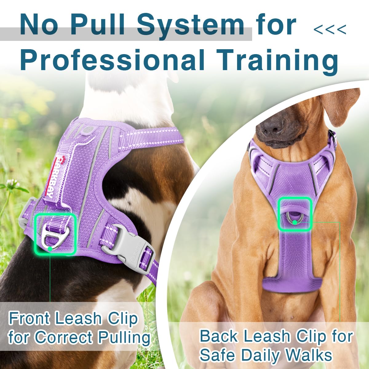 BARKBAY dog harness with ID tag pocket secures identity during walks