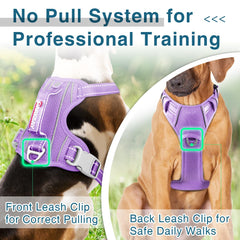 BARKBAY dog harness with ID tag pocket secures identity during walks