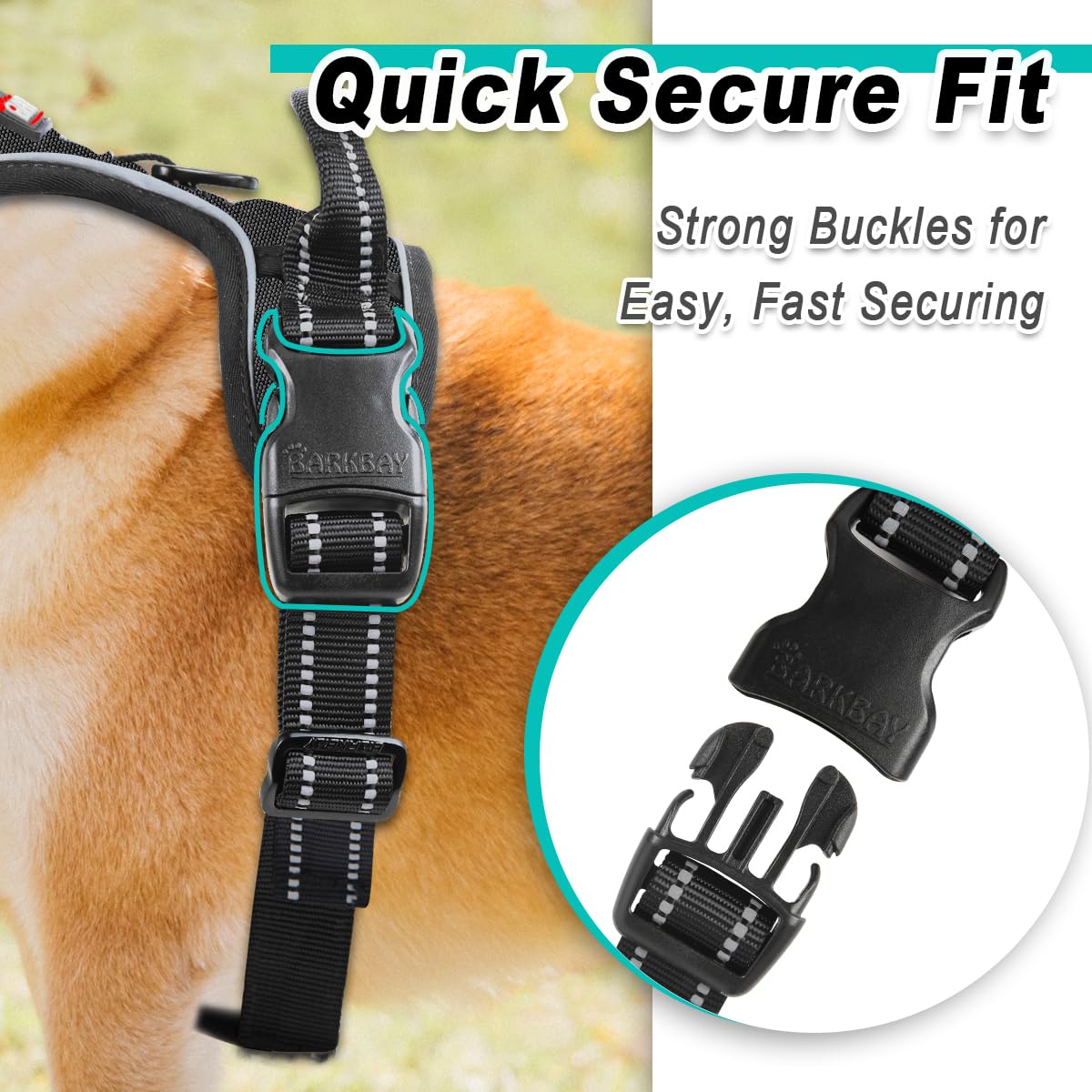 BARKBAY in-use-walking showcases secure control on daily strolls