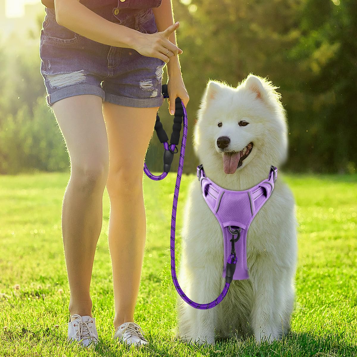 BARKBAY large-dog-purple design suits big breeds with bold style