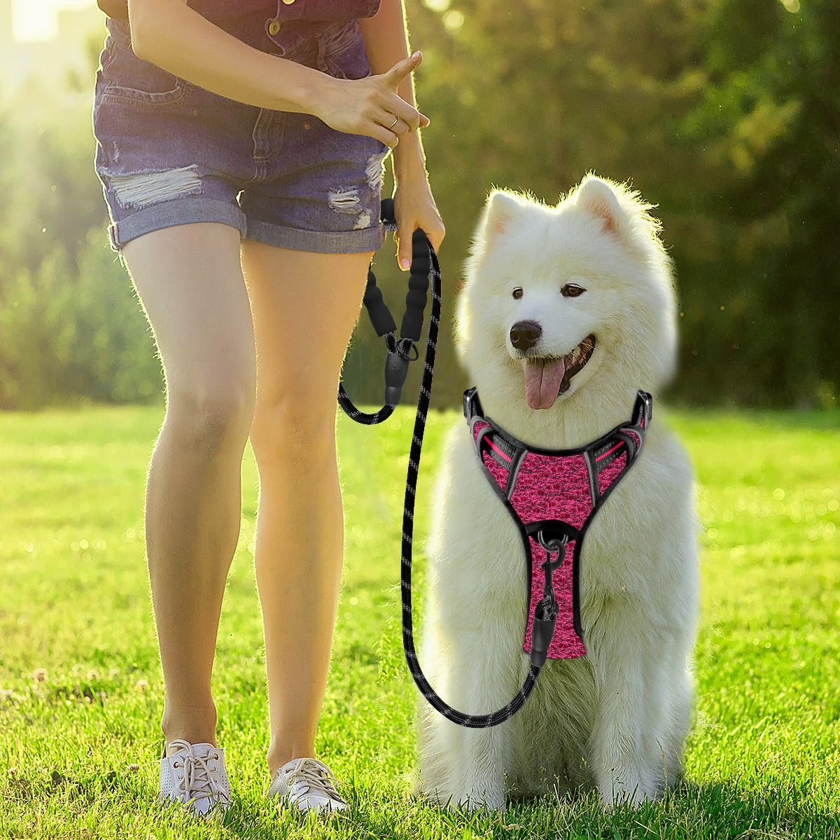 BARKBAY large-dogs harness with ID pocket and reflective safety supports confident walks.