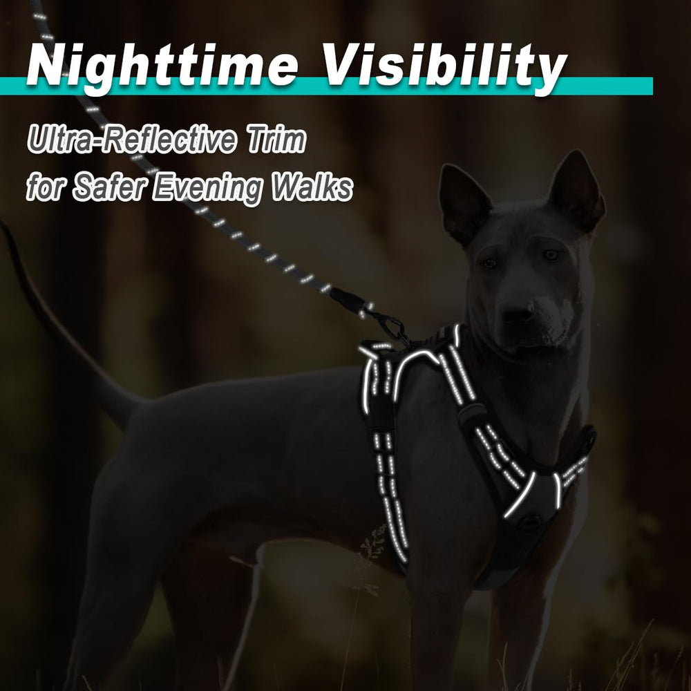 BARKBAY large-dogs harness designed for big breeds with sturdy hardware