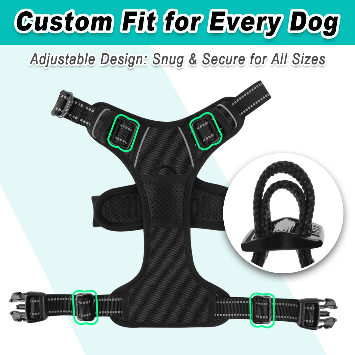 BARKBAY medium-dog fit supports balanced movement.