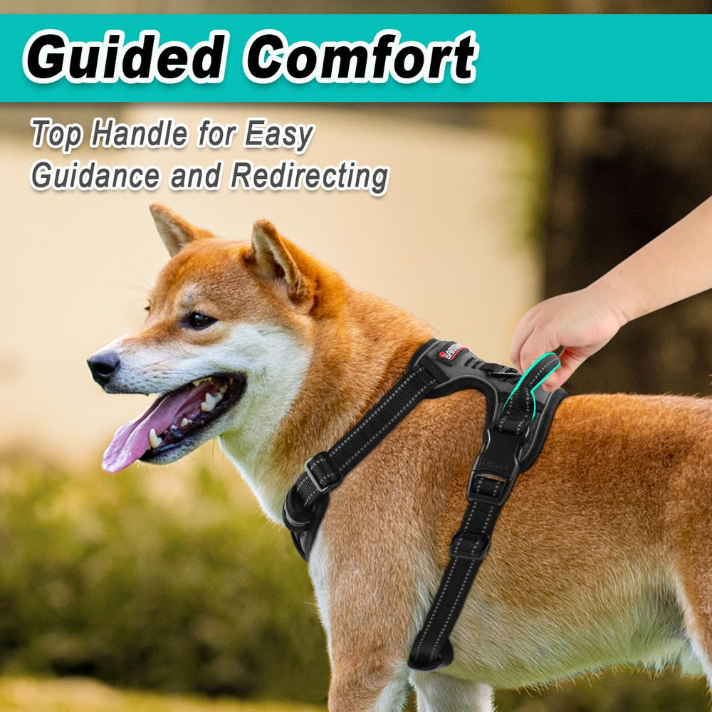 BARKBAY no-choke design helps comfortable restraint without pressure during training and strolls.