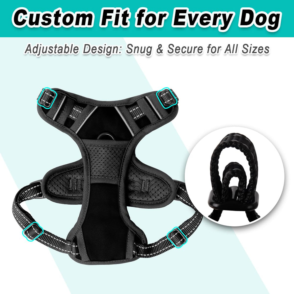 BARKBAY no choke design helps reduce neck pressure during training and walks.
