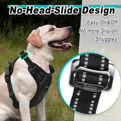 BARKBAY harness with no head slide design for easy on/off.