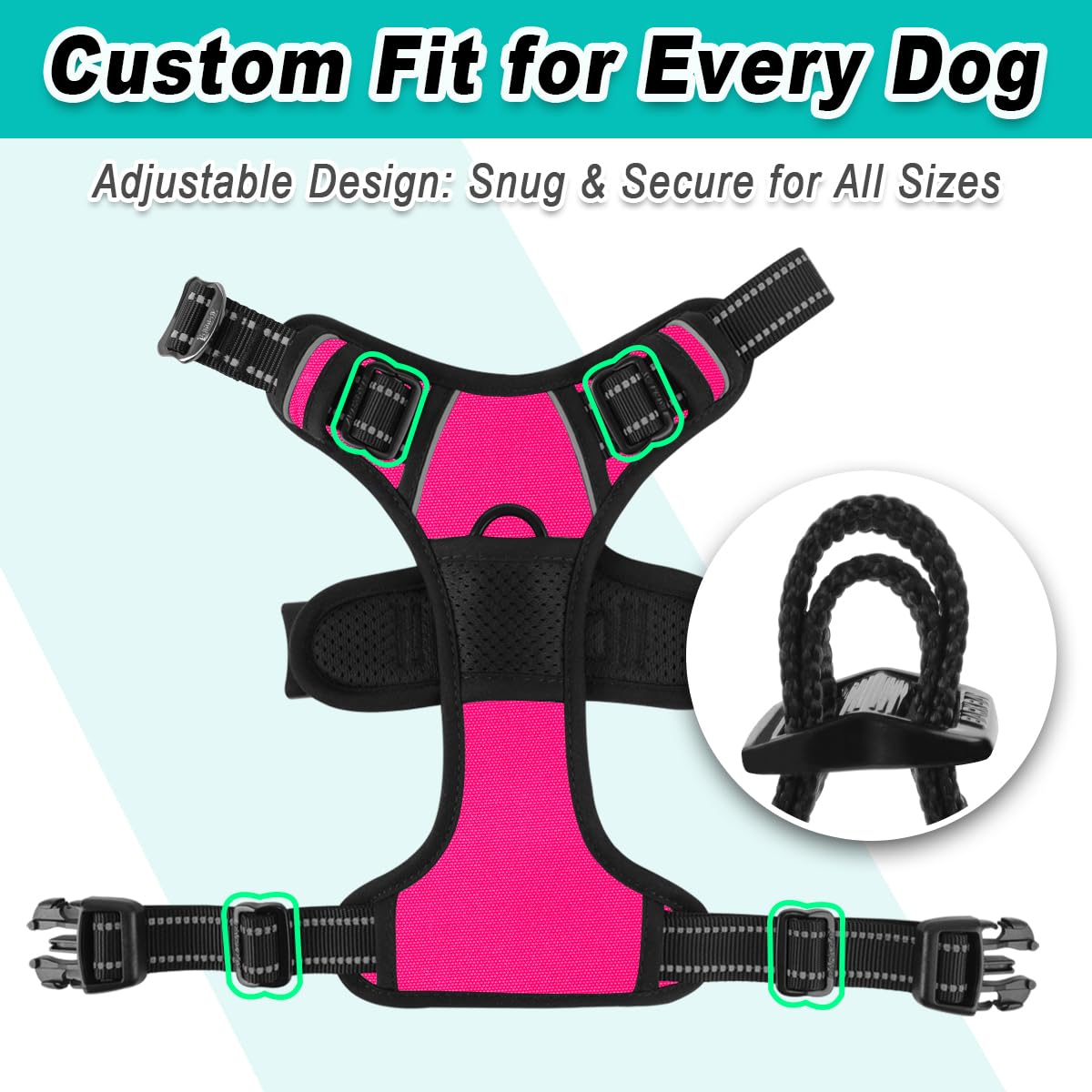 BARKBAY hiking-terrain shot showcases durable build for outdoor adventures