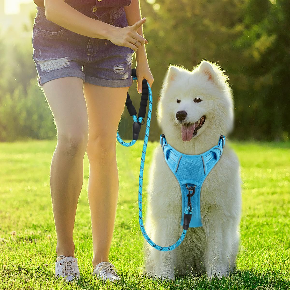 BARKBAY harness blue rear view focusing on top handle for rapid intervention.