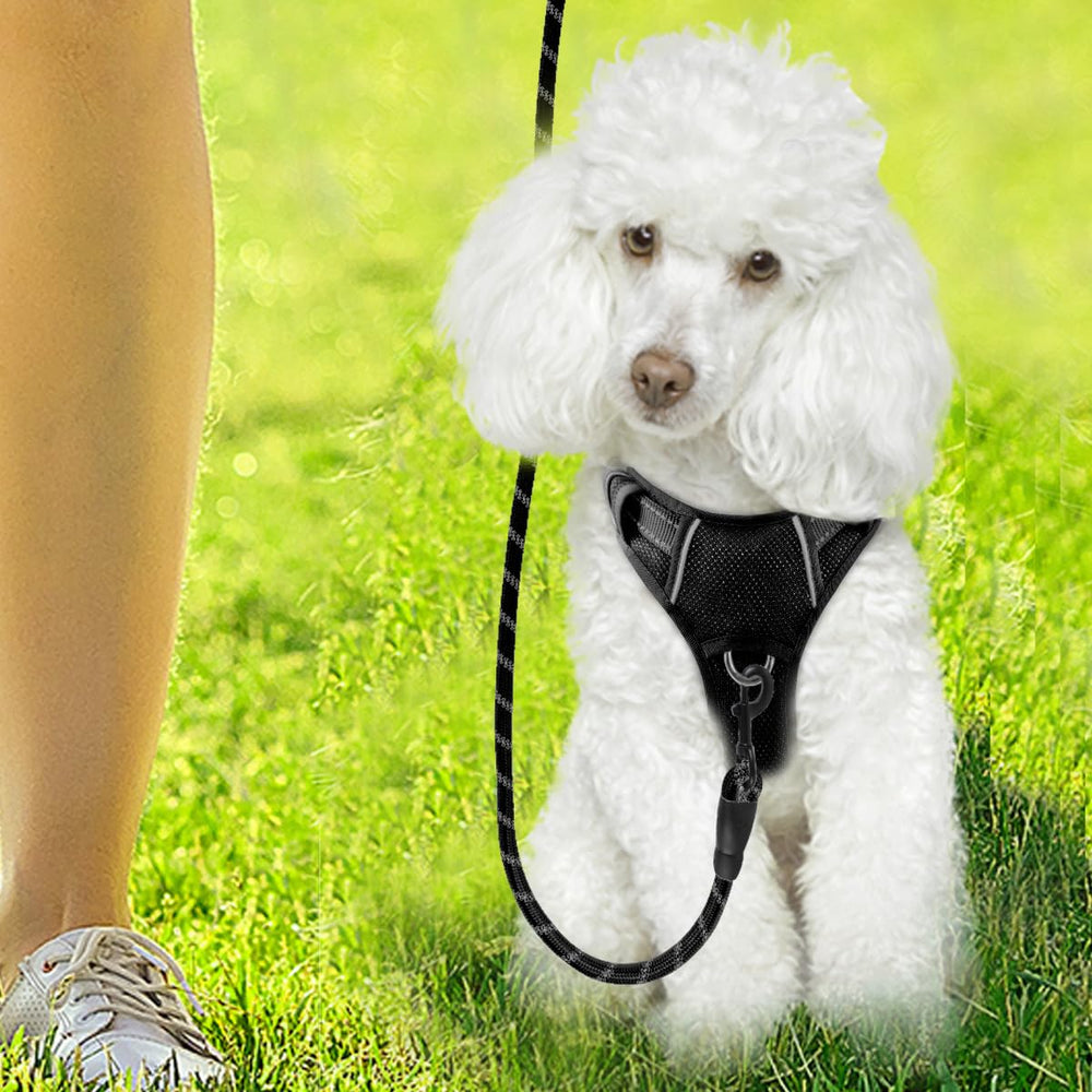 BARKBAY harness in use during park walks with easy control.