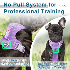 BARKBAY No-Pull harness with reflective strips for low-light visibility.