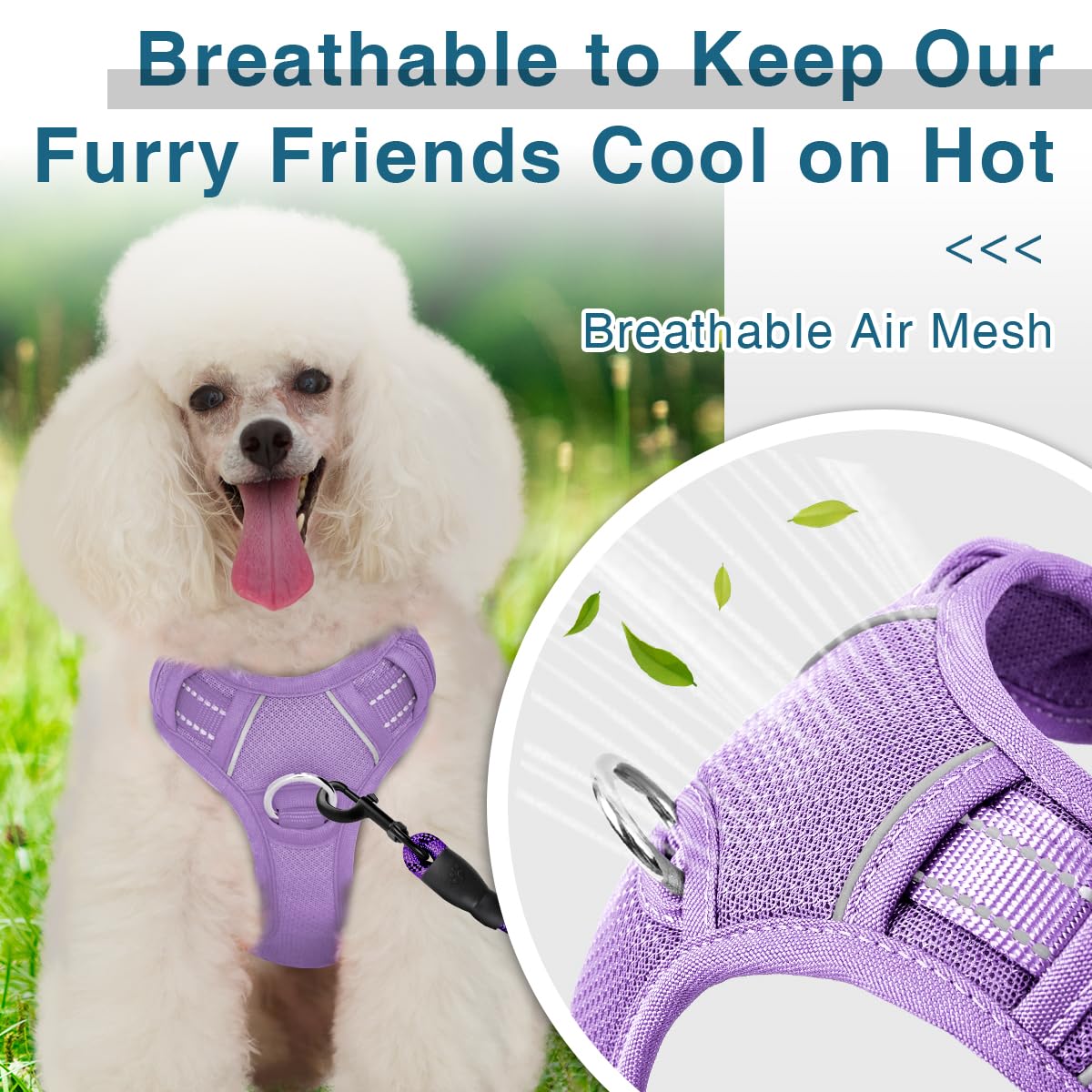 BARKBAY No-Pull harness top handle for extra control during training.