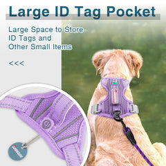 BARKBAY No-Pull Violet XS harness ID pocket close-up for quick ID access.