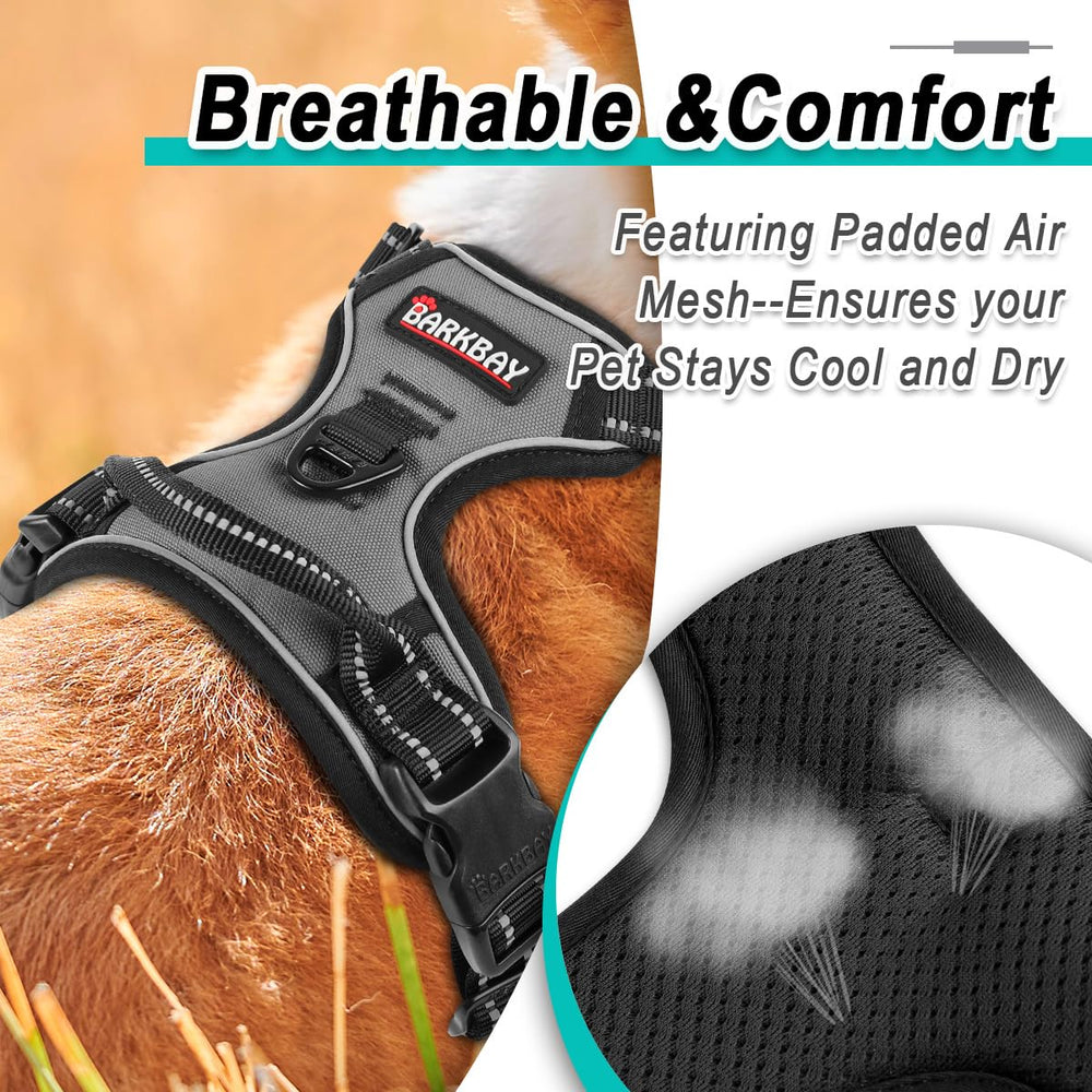 BARKBAY harness ideal for outdoor training, walking, and hiking