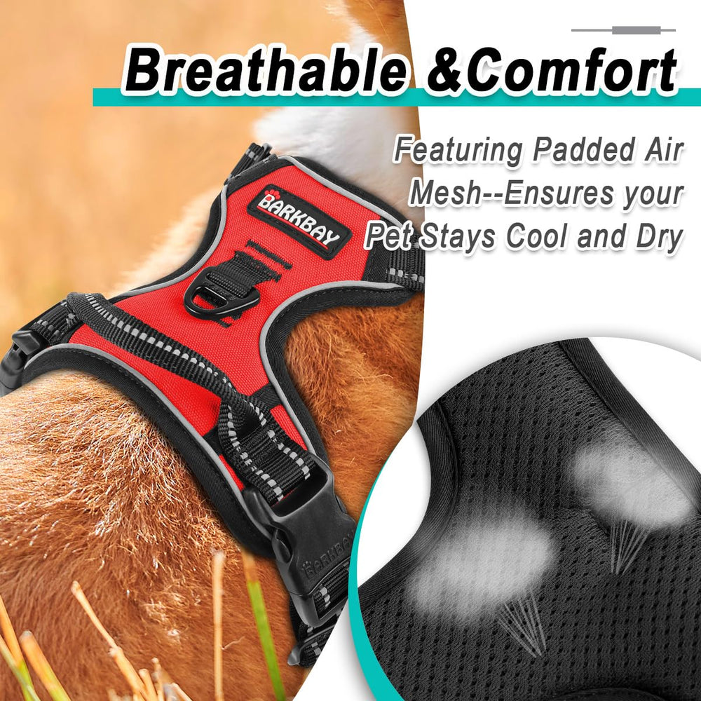 BARKBAY Outdoor Walking and Hiking Use suits daily adventures and weekend explorations.