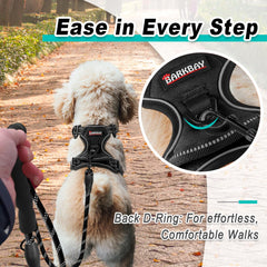 BARKBAY reflective straps enhance visibility for safe early morning or evening outings.