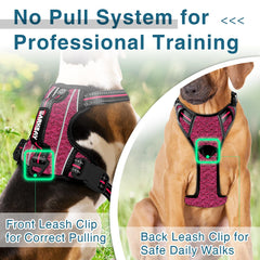 BARKBAY harness reflective strips visible at dusk improve safety during evening walks.