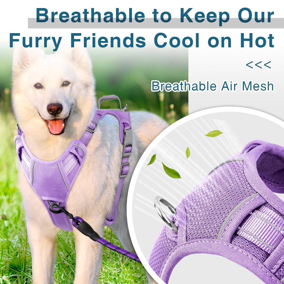BARKBAY harness with reflective safety strips for visible evening strolls