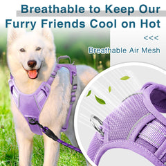 BARKBAY harness with reflective safety strips for visible evening strolls