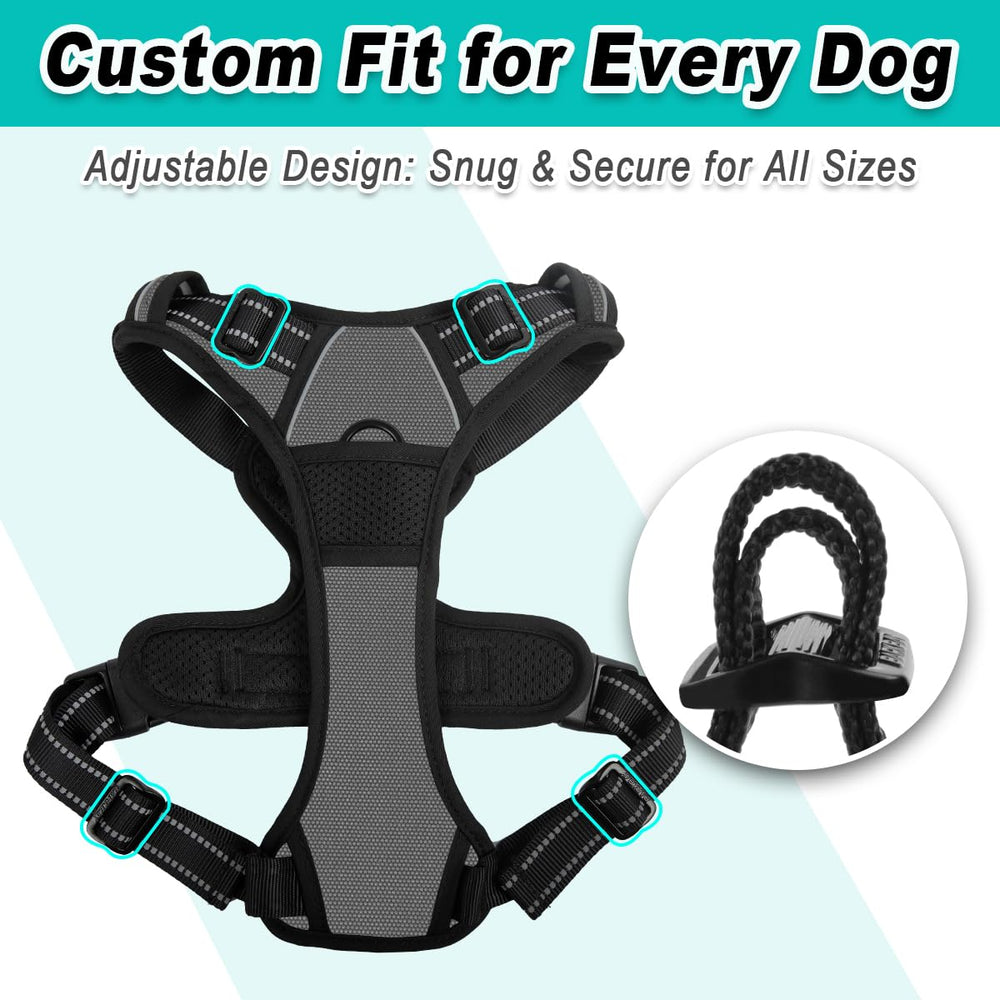 BARKBAY small-dog fit emphasizes secure comfort in size S for daily walks.