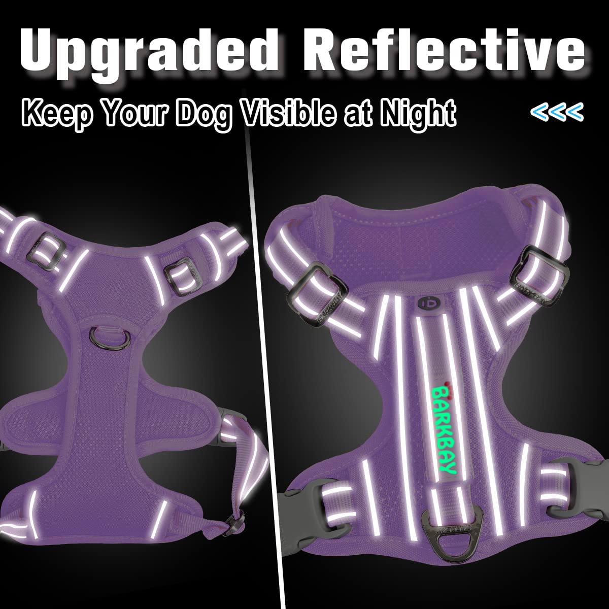 BARKBAY top-handle for quick control during busy outings