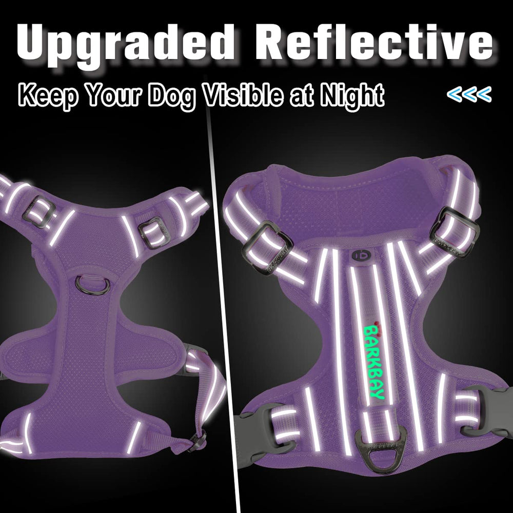 BARKBAY top-handle for quick control during busy outings