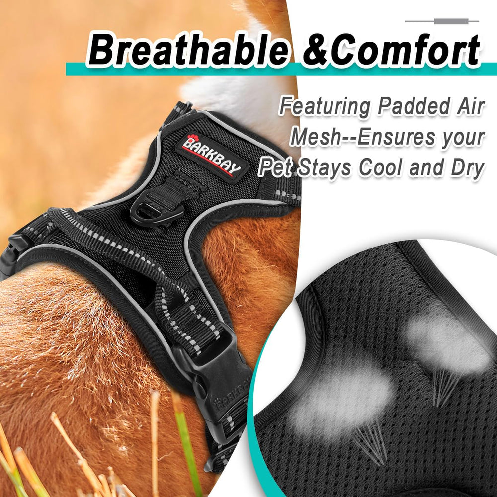 BARKBAY dog walking harness in action offering comfortable control