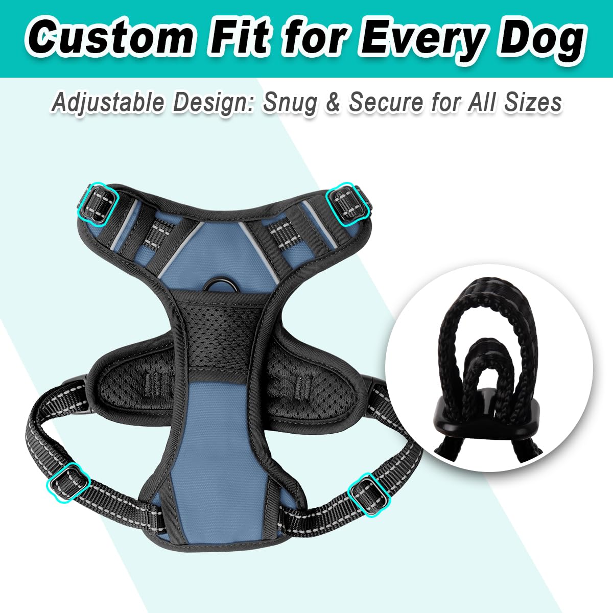 BARKBAY dog-walking harness shown in outdoor use on trails.