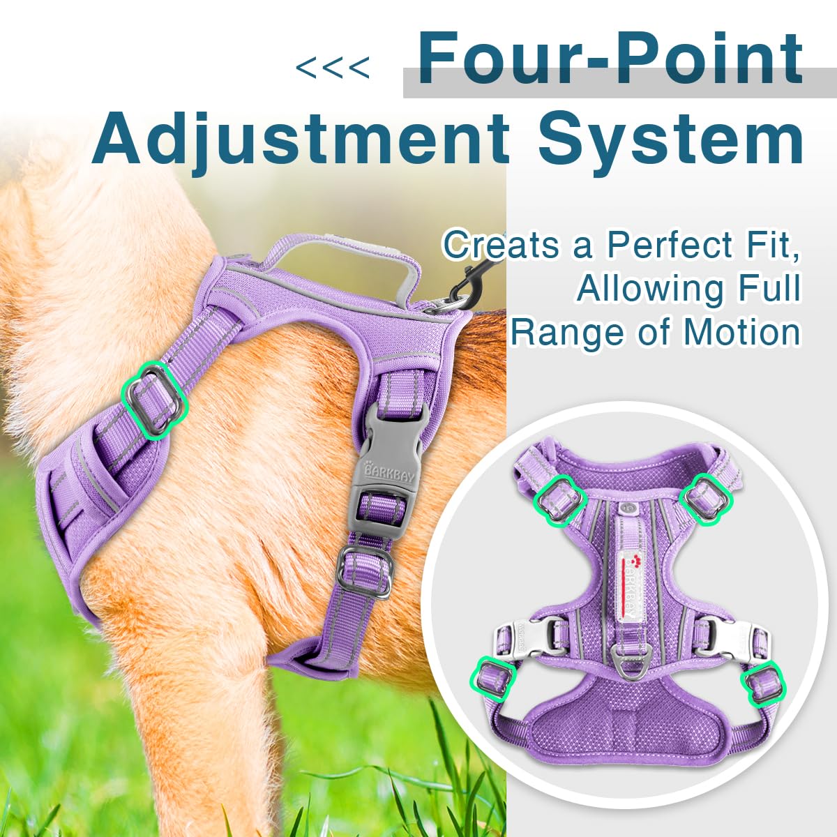 BARKBAY Durable nylon construction with anti-chafe padding for daily wear.
