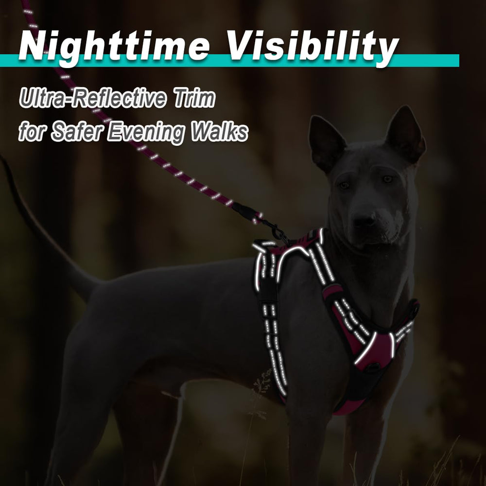 BARKBAY durable outer-mesh harness designed for rugged outdoor use.