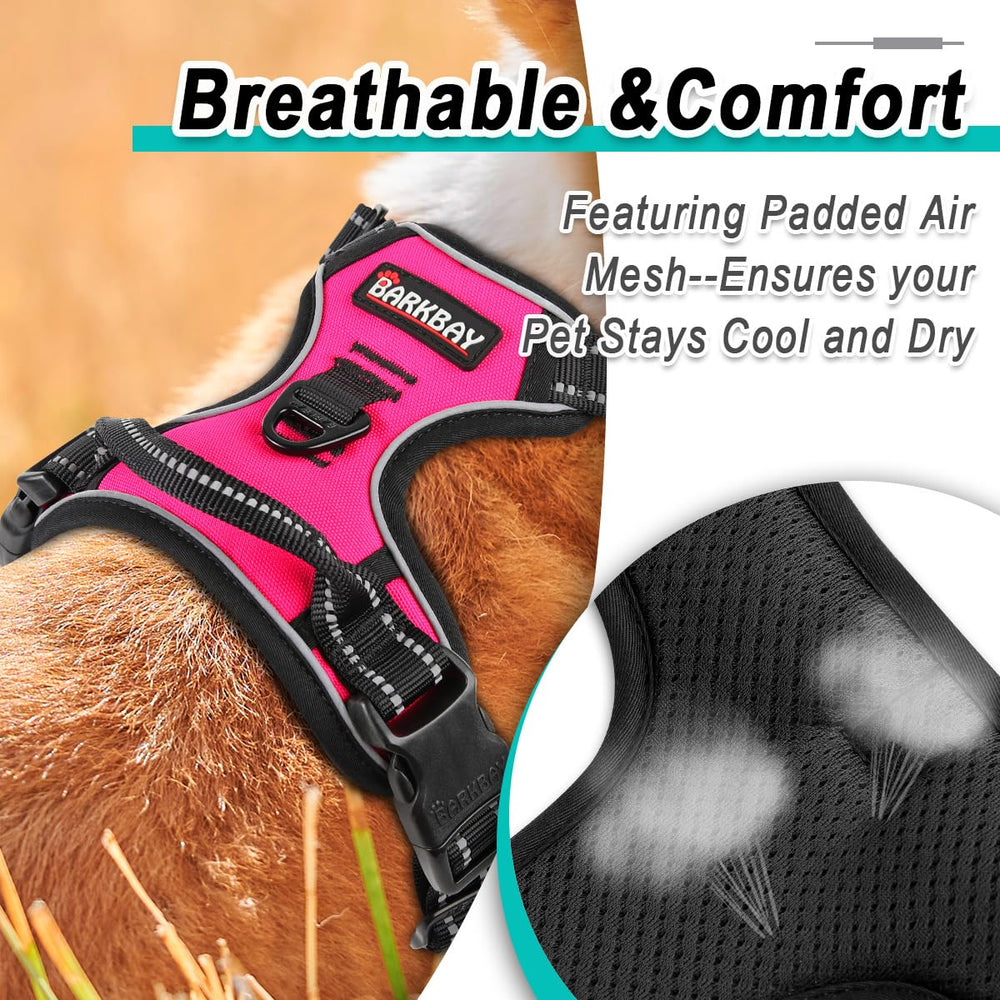 BARKBAY no-pull design supports calmer walks with proper front-attachment control.
