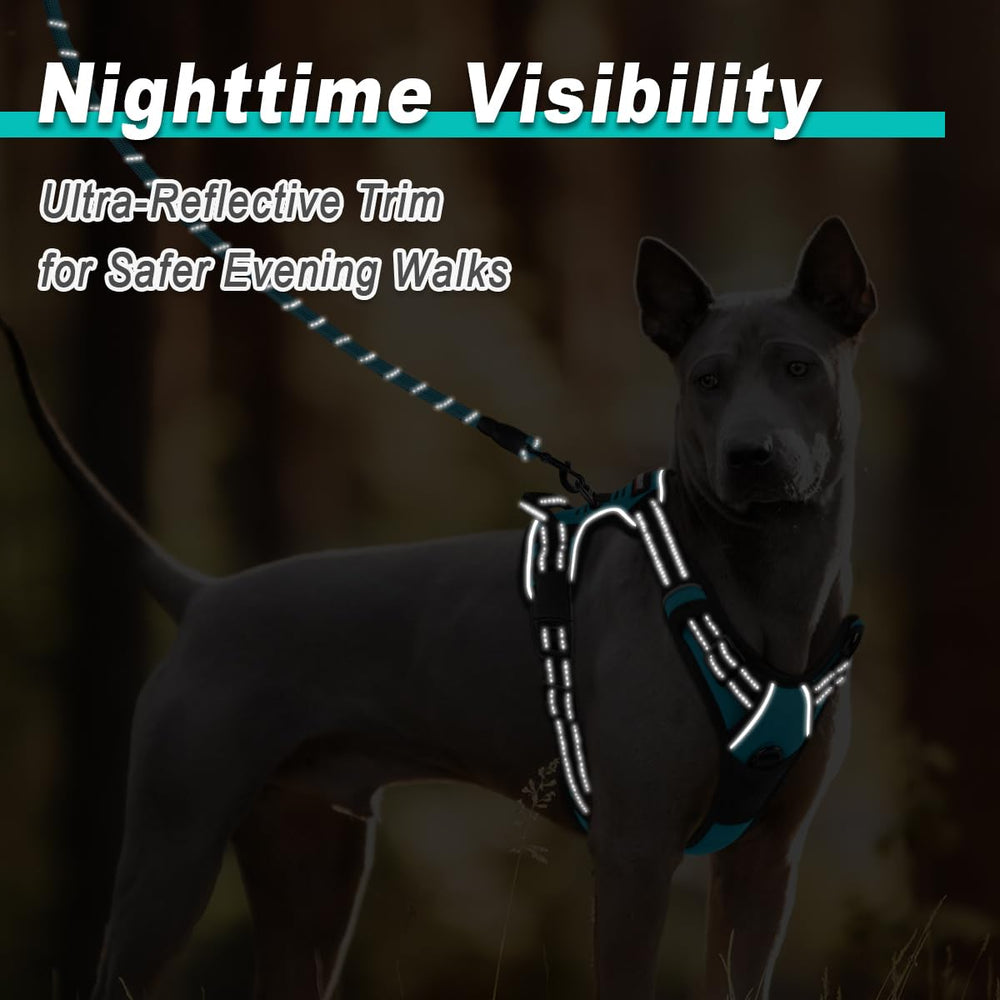 BARKBAY front leash attachment helps gentle steering and side-by-side walking.