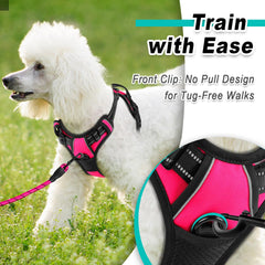 BARKBAY front-leash attachment harness enhances gentle training control.