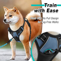 BARKBAY front leash attachment demonstrates no-pull design guiding dogs safely
