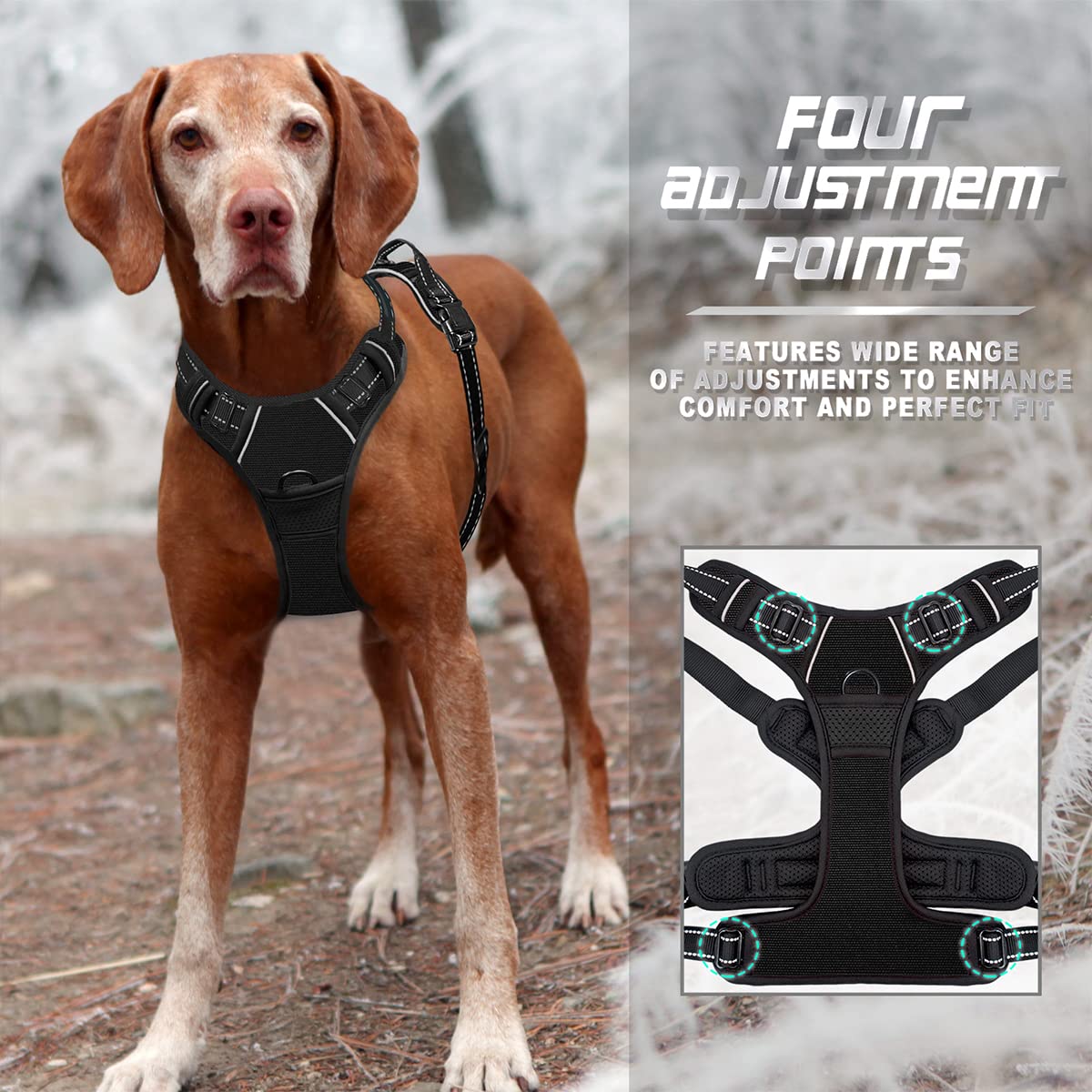 BARKBAY back-attachment point lets you attach a leash with ease.