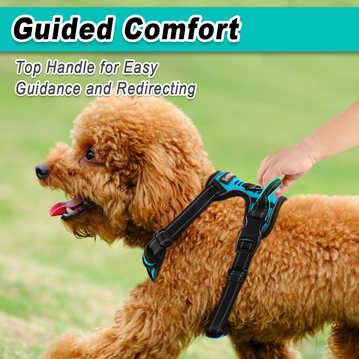 BARKBAY Breathable material harness keeps small dogs cool during outdoor sessions