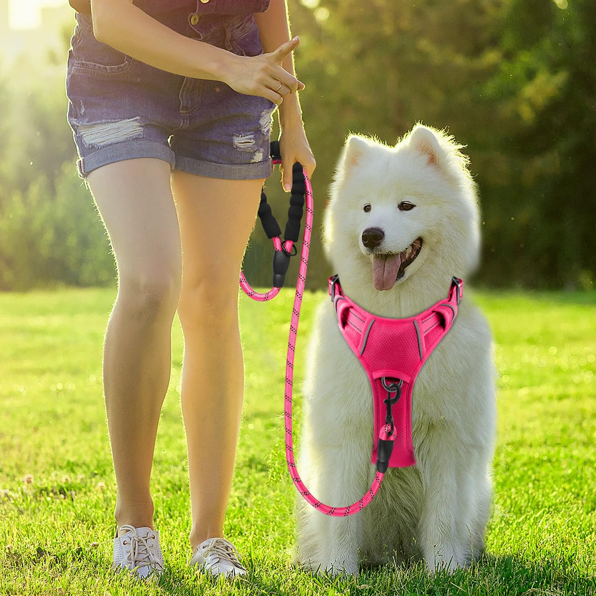 BARKBAY large-dog pink harness ensures secure fit for bigger breeds.