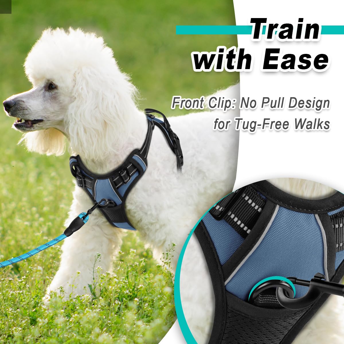 BARKBAY harness with reflective straps keeps dogs visible at dawn or dusk.