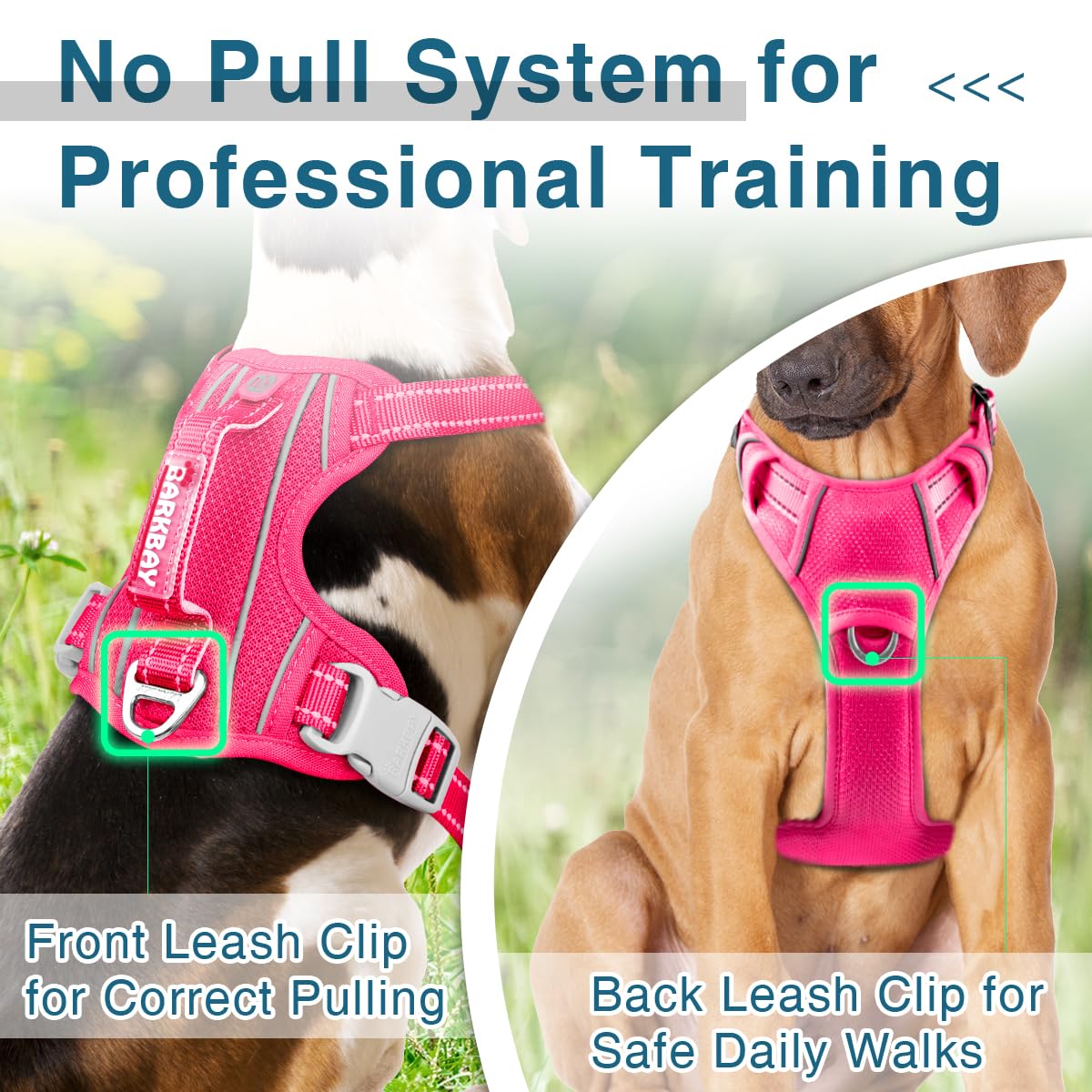 BARKBAY harness reflective strip night-visibility highlights safety during dusk walks
