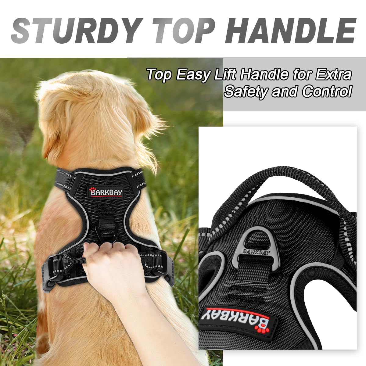 BARKBAY harness with reflective strips enhances visibility for night walks.