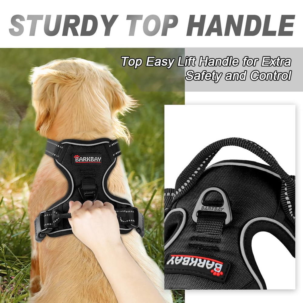 BARKBAY harness with reflective strips enhances visibility for night walks.