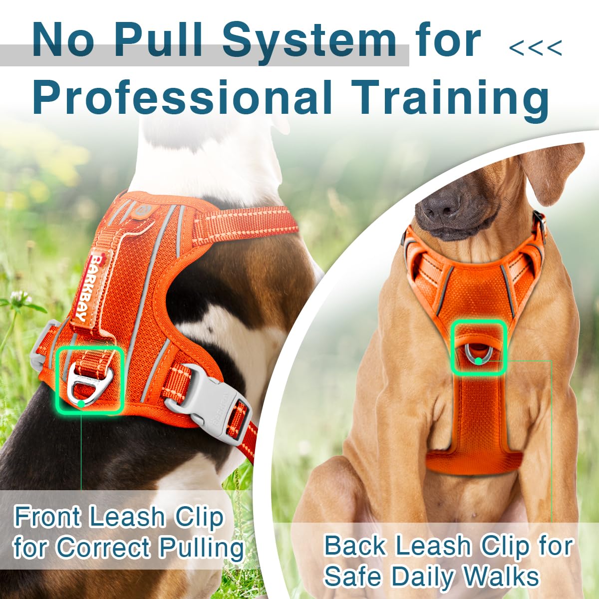 BARKBAY heavy-duty dog harness for large breeds in orange promotes secure control.