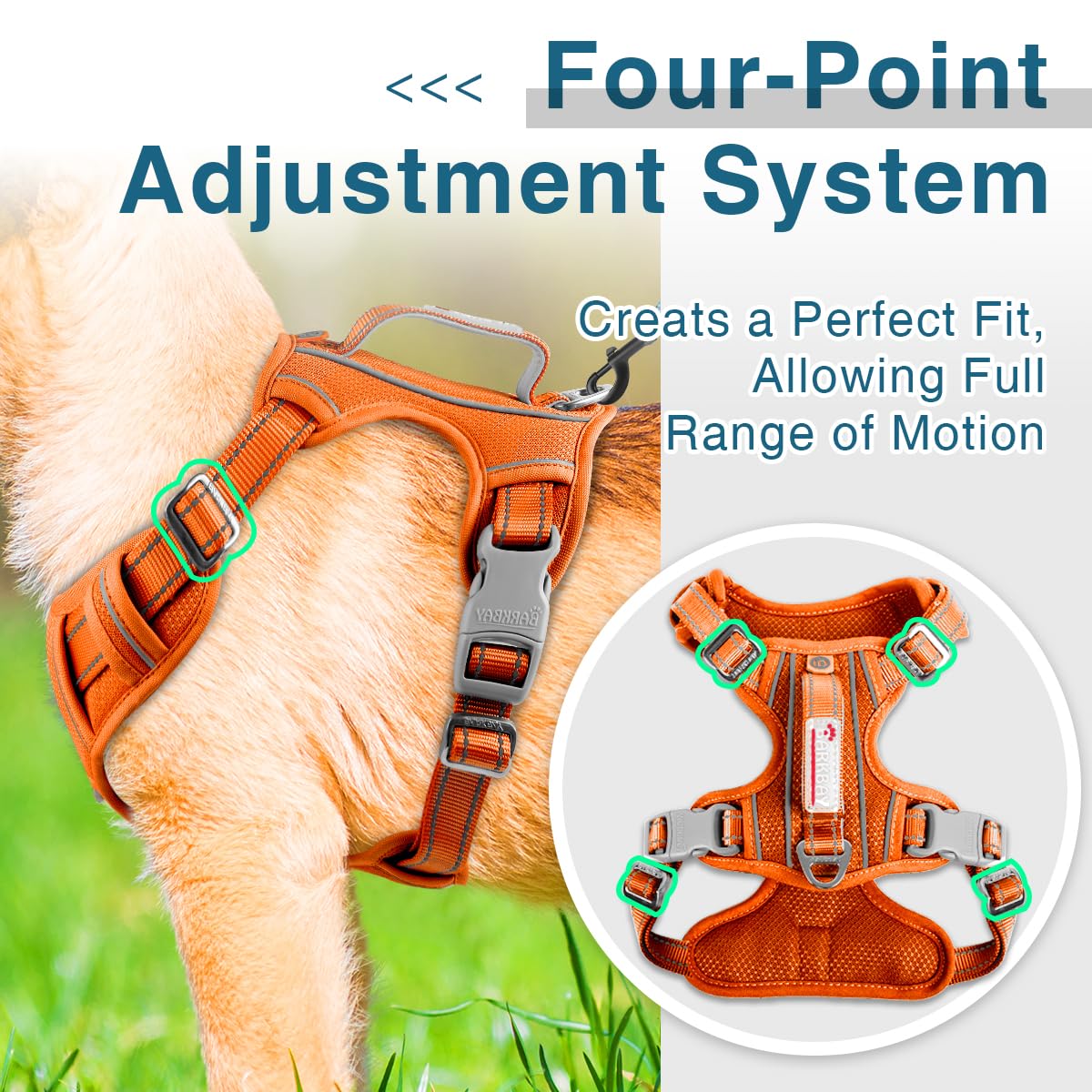 BARKBAY ID pocket dog harness keeps tags handy in orange.