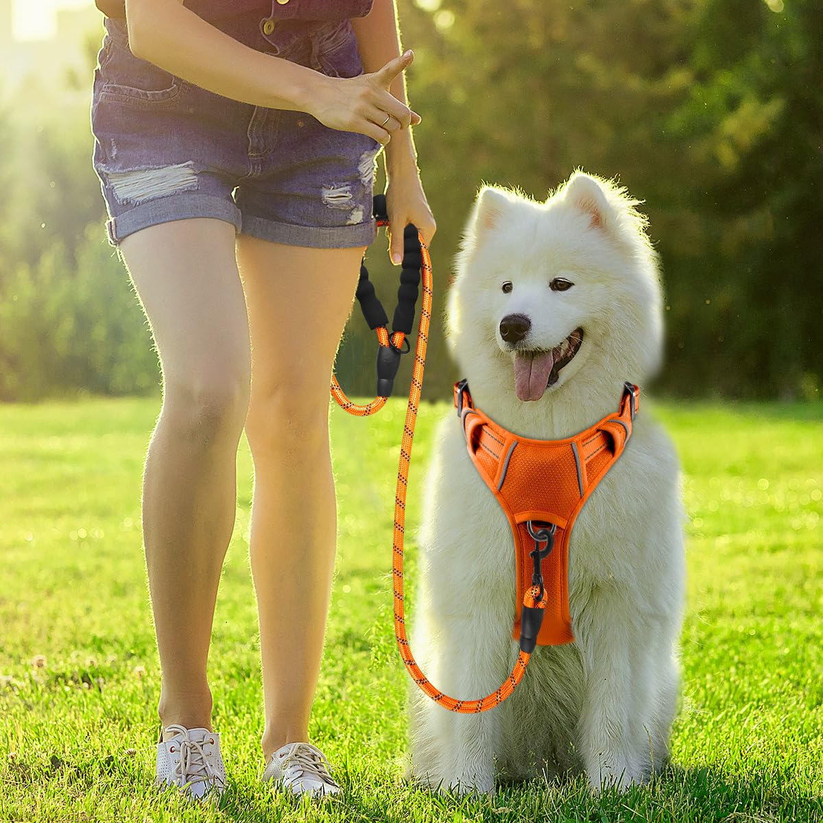 BARKBAY large-dog walking with ease and control