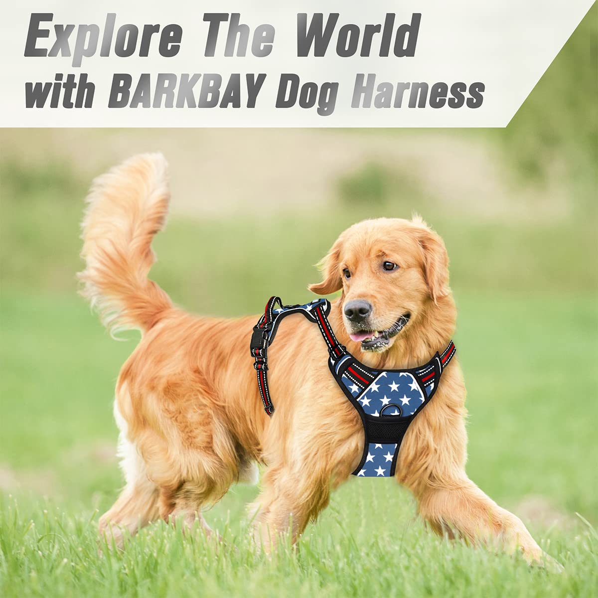 BARKBAY No Pull Harness anti-chafe padding ensures comfortable fit on long strolls.