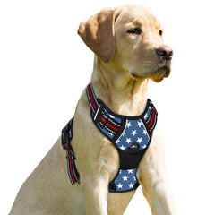 BARKBAY No Pull Harness front clip XL star - left view for improved control during walks.