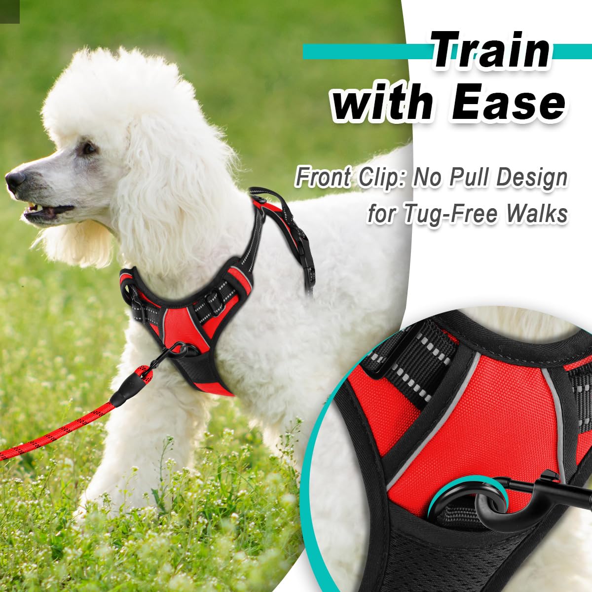 BARKBAY no-pull harness adjustable straps provide secure, customized fit for varying small-dog shapes