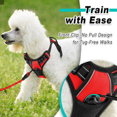 BARKBAY no-pull harness adjustable straps provide secure, customized fit for varying small-dog shapes