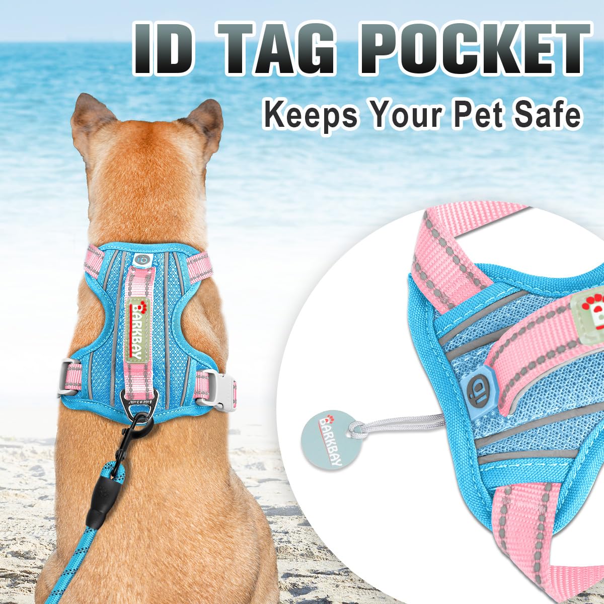 BARKBAY No Pull Harness back D-ring provides leash versatility for casual strolls