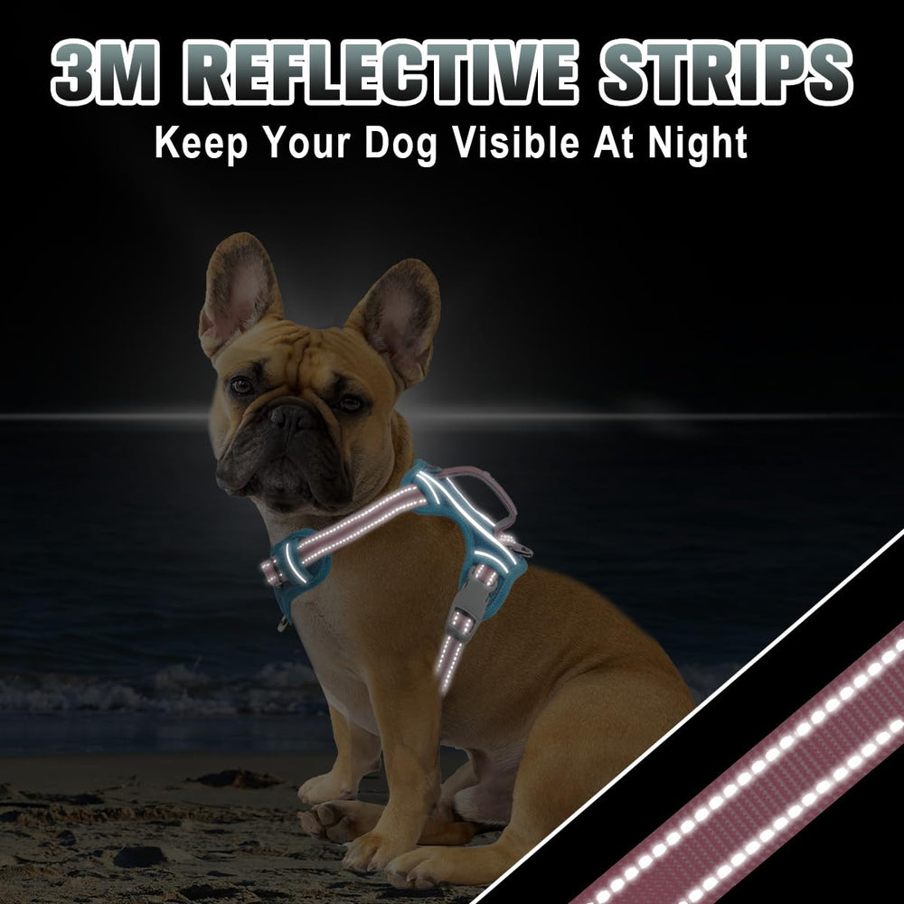 BARKBAY ID pocket securely holds your dog's identification
